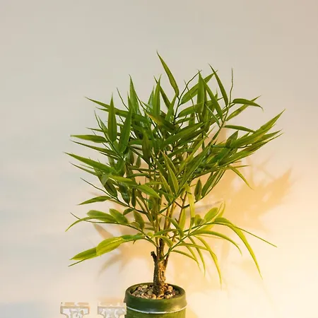 Apartament Casa De Alicia *